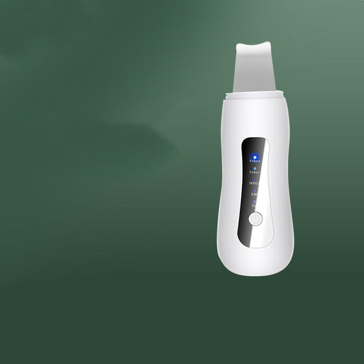 Gesichtsreinigungsinstrument